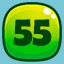 Level 55