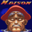 M. Bison Perfect