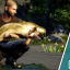 Big Cat Tamer