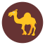 Camel 1