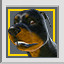 Not a Dog Person - Gold