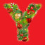 Y