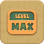 Max Level