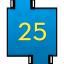 Score 25