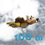 Fly 1000m