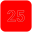 25 Level