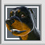 Not a Dog Person - Silver