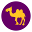 Camel 2
