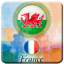 France - Wales