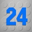 Level 24