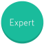 Expert