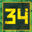 Level 34