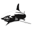 Shark Life
