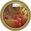 Spring of Crystals Completed