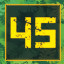 Level 45