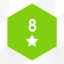 Level 8: 1 star