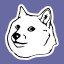 Doge