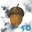50 nuts collected