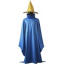 Blue Mage Master
