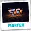 Fighter