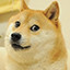 Doge