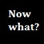 Now What?