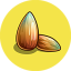 Seed (Sand + ???)