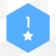 Level 1: 1 star