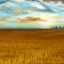 Home on the prairie