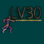 Level 30
