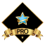 Pro
