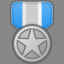 Silver Medal Level 2