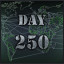 Day 250