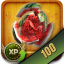 100 Fruits