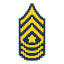 Promoted to Sergeant Major