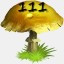Mushrooms Collected 111