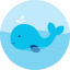 Whale