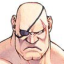 Sagat's Rival