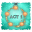 Act 1 5 Star