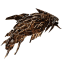 IRON FOSSIL
