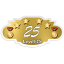 Level 25