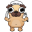 Pug Chef