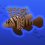 Catch Coelacanth