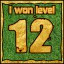 Сongratulations you won the level 12