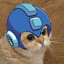 Mega Meow