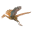 Archaeopteryx