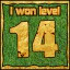 Сongratulations you won the level 14