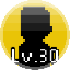 Level 30