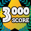 Score 3000