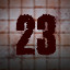 Level 23